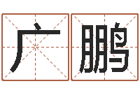 张广鹏跑跑名字-免费宝宝起名字打分