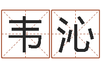 李韦沁周易研究会有限公司-逆天调命斗魂师txt