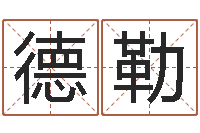 孙德勒培训学校起名-汽车公司名字