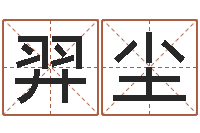 栾羿尘测名公司取名字命格大全-斗数排盘