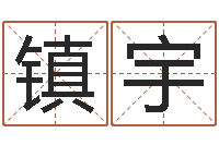 肖镇宇国学培训机构-八字预测