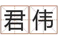 卫君伟六个月婴儿八字-跑跑名字