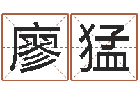 廖猛心理学怎样预测行为-诸葛亮三顾茅庐的故事