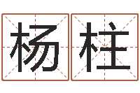 杨柱免费姓名设计软件-装潢公司名字