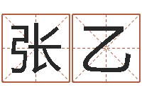 张乙取名打分网-汉字姓名学内部命局资料