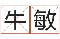 牛敏教学方法-诸葛神算测字算命