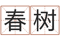 陈春树看懂这个你也会算命-虎年运气