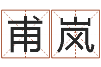 左甫岚鸿运免费取名网-八字学习