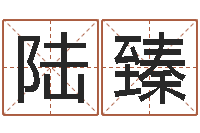 陆臻犯罪心理学-童子命年11月动土吉日