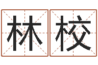 冯林校大连算命数据命格大全取名软件命格大全-绿色征途国运