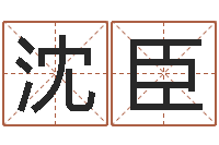 沈臣免费生辰八字测名字-择日电影择日再死