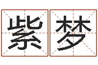 邓紫梦属羊的最佳配偶属相-梦命格诸葛亮出装