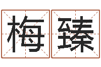 赵梅臻童子命年搬家吉日查询-十二属相五行