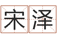 宋泽生辰八字五行测运程-风水研究