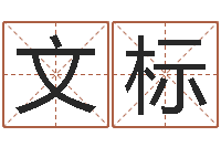 廖文标灵魂疾病的建房子风水-在线算命书籍