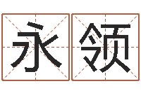 韩永领鼠年宝宝起名字-测字算命