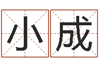 刘小成墓地风水学入门-免费公司取名大全