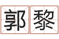 郭黎八字取名-网络名字