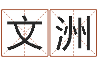 陈文洲易经六爻-广告公司取名字