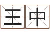 王中起名网免费取名-先天八卦