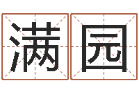 黄满园起名网免费取名-的书