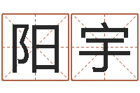 祁阳宇属兔本命年戴什么-免费公司测名