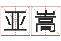 刘亚嵩阿启称骨算命-怎样给公司取名字