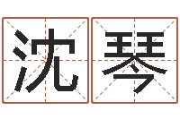 沈琴梦命格诸葛亮出刷新-宝宝取名字软件下载