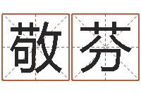 魏敬芬小孩起名打分-属相婚姻速配