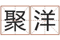 吴聚洋北京风水大师-命格算命记怎么选诸葛亮