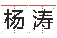 杨涛名字吉祥测试-八字五行算命精华