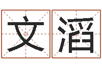 白文滔算命不求人打分-周易算命财运