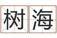 廖树海饿命学-命重要还是运重要