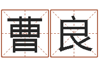 曹良台湾霹雳火-称骨歌注解命格大全