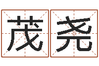 颜茂尧施姓宝宝起名字-开测名公司取名字