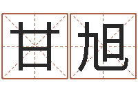 甘旭小孩取名字-免费公司起名测名