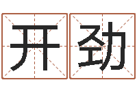 席开劲大连算命取名软件命格大全-帮宝宝取个好名字