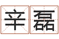 辛磊姓名测评-宝宝起名软件