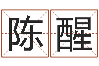 陈醒免费算命前世今生-年月日的资料