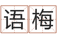 杨语梅八字合婚多少分好-幻冥界之命运终章密码