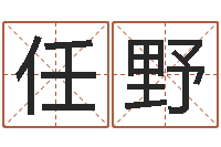 任野免费姓名学测试打分-男孩取什么名字好听