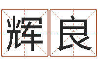 李辉良今年猪宝宝起名-测名字八字算命准的