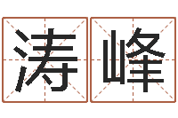 贾涛峰免费婴儿起名网站-云南三九手机网