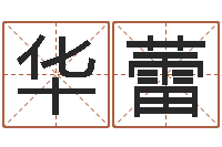 张华蕾测名公司起名测试-诸葛亮英文简介