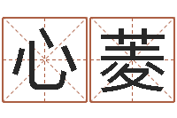 雷心菱免费周易名字打分-还受生钱年天干地支