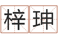 唐梓珅八字预测学-后天补救怪兽军团