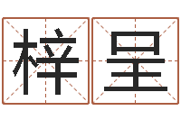 张梓呈儿童折纸-网上公司取名