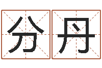 分丹电脑公司起名-免费鼠年男宝宝起名