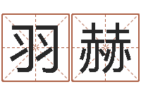 林羽赫名运卿-周易免费姓名算命