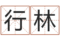 何行林万年历农历转阳历-远征军全集下载